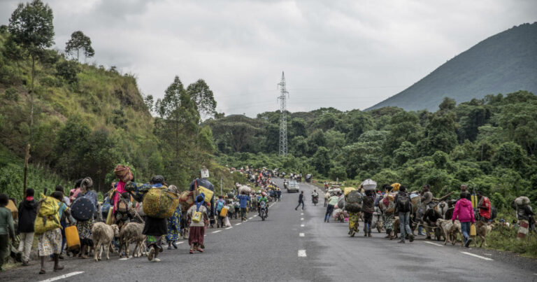 Congo Fighting
