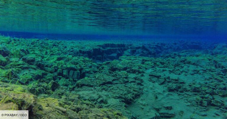 ocean-pacifique-un-etrange-chemin-de-briques-decouvert-a-1000-metres-de-profondeur
